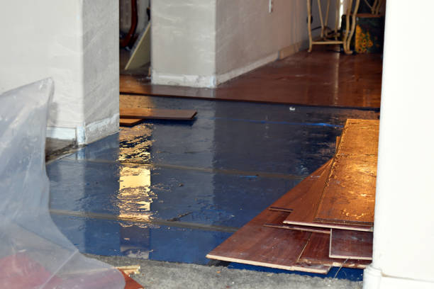 Professional Emergency Water Damage Restoration technician working in Piqua, OH